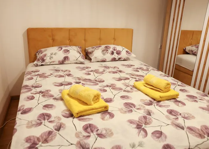 公寓 Wish Lux Vrnjci